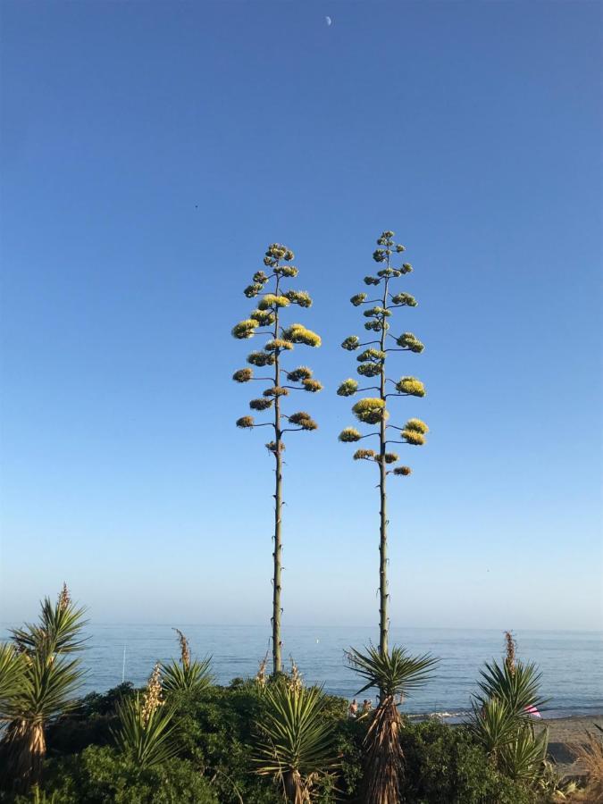 Marbella - Estepona Beach Frontline Apartment Екстер'єр фото